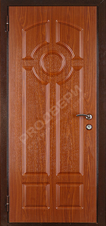 Фотография «Дверь Винилискожа №5»